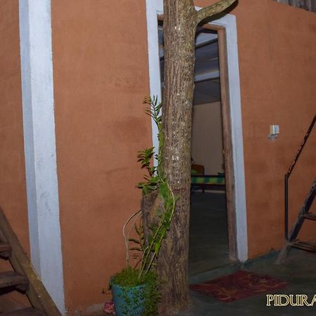 סיגירייה Pidurangala Hostel מראה חיצוני תמונה