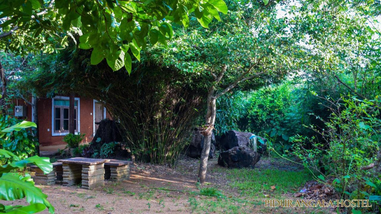 סיגירייה Pidurangala Hostel מראה חיצוני תמונה